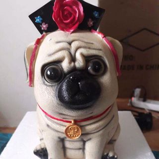 Chó cách cách mèo hoàng thượng