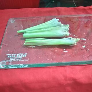 Thớt kính cường lực