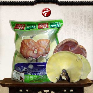 Nấm Linh Chi đỏ Hàn Quốc túi xanh 2 cây nấm 1kg