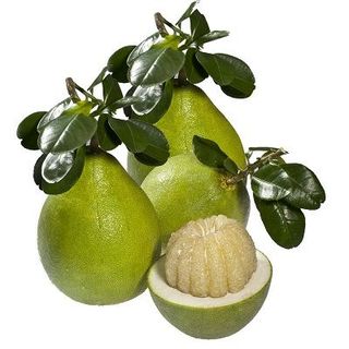 Bưởi năm roi không hạt giá sỉ
