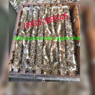 Mật ong hoa nhãn nguyên chất
