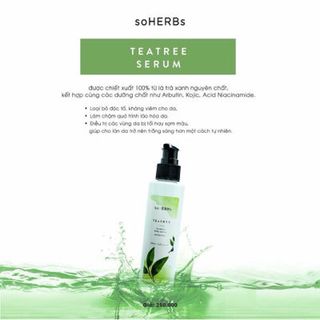serum body trà xanh soHerbs