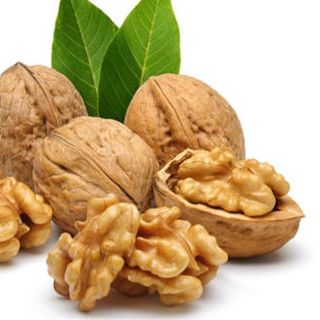 Hạt Óc Chó