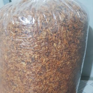 Hành Bắc phi