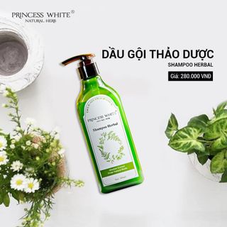 sữa tắm hồng sâm và dầu gội đầu thảo mộc