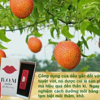 Son Thỏi Siêu Lì