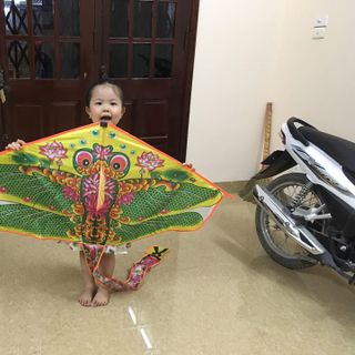 DIỀU ĐẸP NHIỀU MẪU GIÁ RẺ