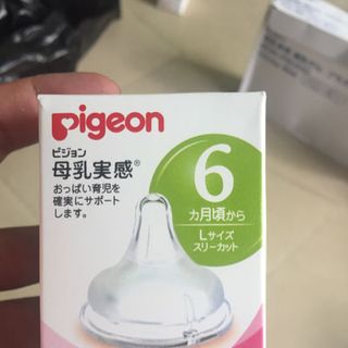 núm ty Pigeon