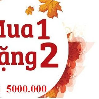 Đông trùng hạ thảo Việt Nam- giá sỉ