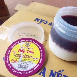 Sữa chua nếp cẩm và các sản phẩm từ sữa