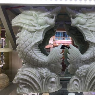 Cá chép hoá rồng 20 cm - MSP 842