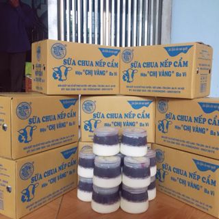 Sữa chua nếp cẩm và các sản phẩm từ sữa