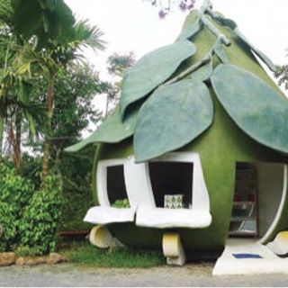 Mứt vỏ bưởi Nông Lâm