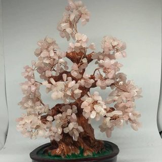 Cây tài lộc màu hồng 30 cm - MSP 837 giá sỉ