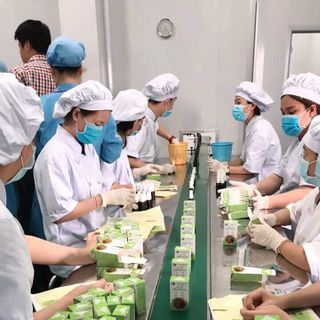 Thuốc đặc trị hôi nách Đông y tiến hạnh