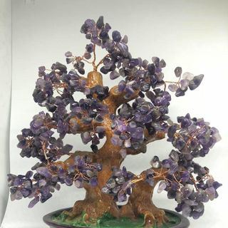 Cây tài lộc màu tím 30 cm - MSP 835 giá sỉ