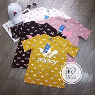 áo thun cotton 4 chiều