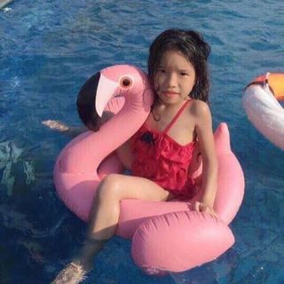 phao bơi thiên nga hạc hồng cho bé cót lót troings chụt