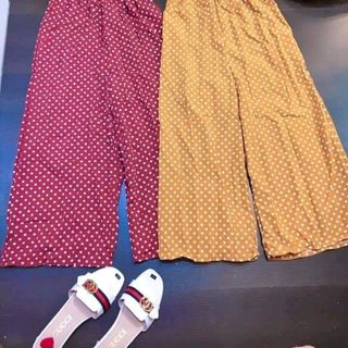 ĐẦM BÈO HAI DÂY QC