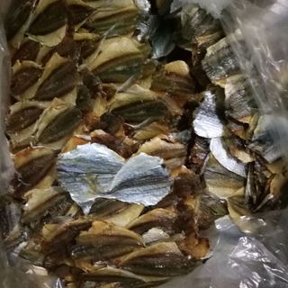 CÁ CHỈ VÀNG
