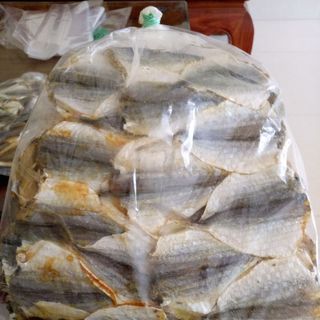CÁ CHỈ VÀNG