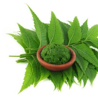 Bột lá Neem Ấn Độ