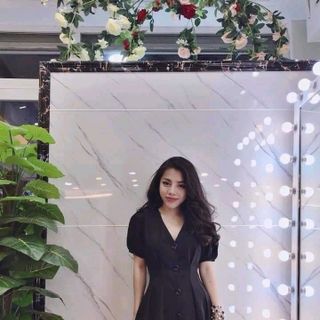 ĐẦM XÒE CỔ V QC