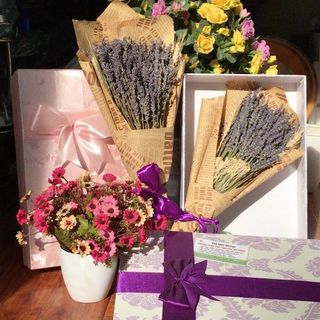 bó hoa khô lavender k bao gồm hộp giá sỉ