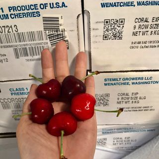 Cherry Mỹ chính gốc