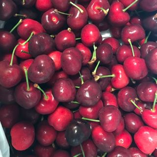 Cherry Mỹ chính gốc