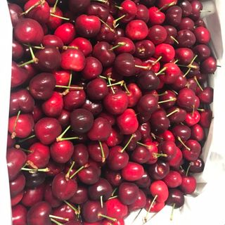 Cherry Mỹ chính gốc