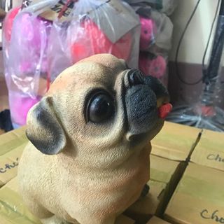 heo đất tiết kiệm