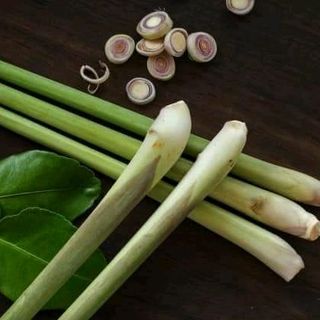 Nước Rửa Chén JAPAN 100 thiên nhiên