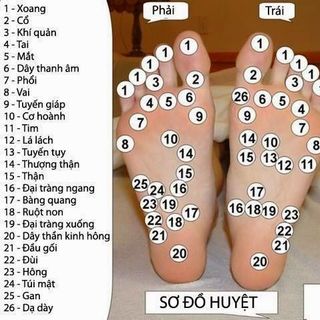 Bàn lăn massage chân bằng gỗ