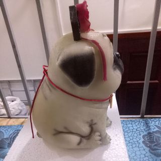 Chó cách cách tiết kiệm
