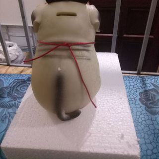 Chó cách cách tiết kiệm