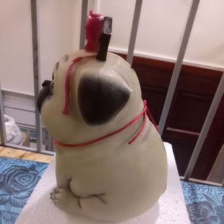 Chó cách cách tiết kiệm