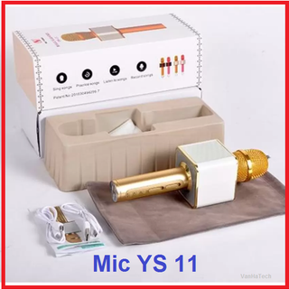 Mic KaraOke YS11