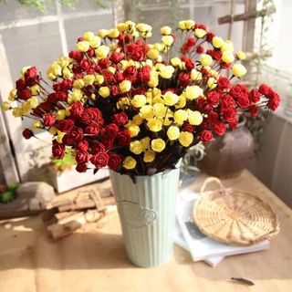 Bộ sản phẩm làm hoa hồng nhí