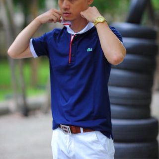 Áo phông cá sấu nam