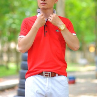 Áo phông cá sấu nam