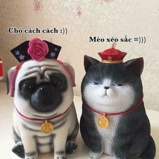 Ống tiết kiệm hình chó cách cách in 5D