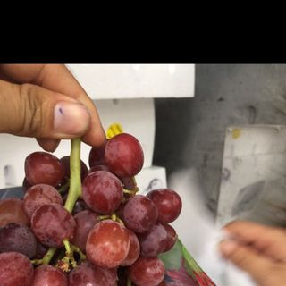 nho đỏ mỹ
