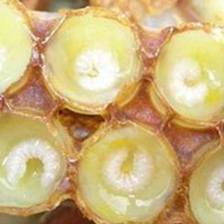 SỮA ONG CHÚA TƯƠI NGUYÊN CHẤT