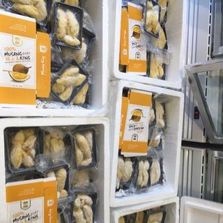 sầu riêng musang kinh malaysia