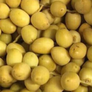 chà là tươi nam phi
