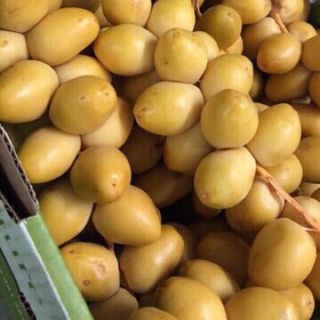 chà là tươi nam phi