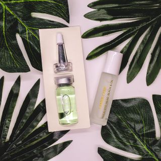 Cây Ngừa Mụn Đầu Đen GOODBYE HEAD BLACK OIL