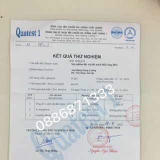 THẢO MỘC ĐẶC TRỊ HÔI NÁCH THẦY LANG HOÈ