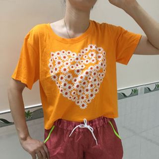 quần short nữ